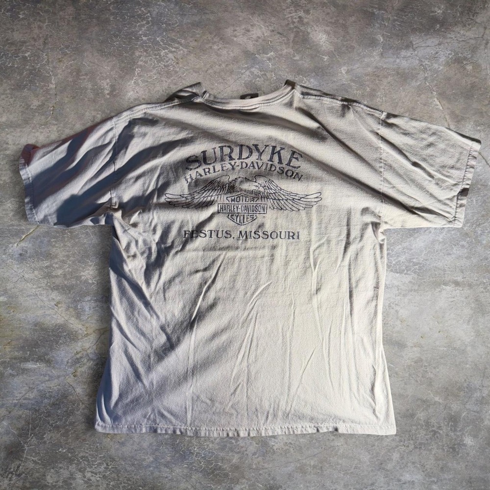 Harley Davidson Surdyke Festus Missouri Eagle Graphic T-Shirt Grey Mens XL